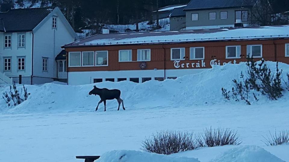 Terrak Gjestegard Buitenkant foto